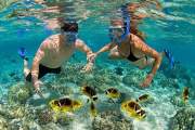 Cham Island Sightseeing & Snorkeling Tour, Pick up at DaNang or Hoi An