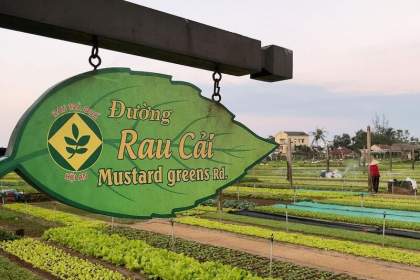 會安茶阙蔬菜村(Tra Que Vegetable Village)