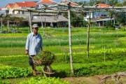One day being farmer in Tra Que village - Local Life experience