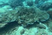 Amazing Phu Quoc 3 Island Tour by Boat & Cable Car – Full Day
