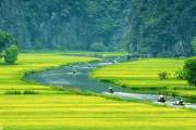 Hanoi - Ninh Binh Hoa Lu - Tam Coc one day tour: