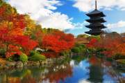 KHÁM PHÁ NHẬT BẢN  KOBE-OSAKA-KYOTO-NAGATO-PHÚ SỸ-TOKYO