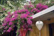DANANG PRIVATE TOUR 5 DAYS 4 NIGHTS - BA NA HILLS - HOIANA