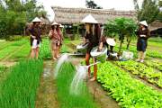 One Day Farming With Farmer in Tra Que village - Local Life Experience