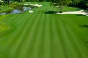 Eschuri Vung Bau Golf Phu Quoc