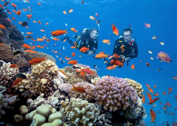 Tour câu cá lặn ngắm san hô Nam Đảo 1 ngày