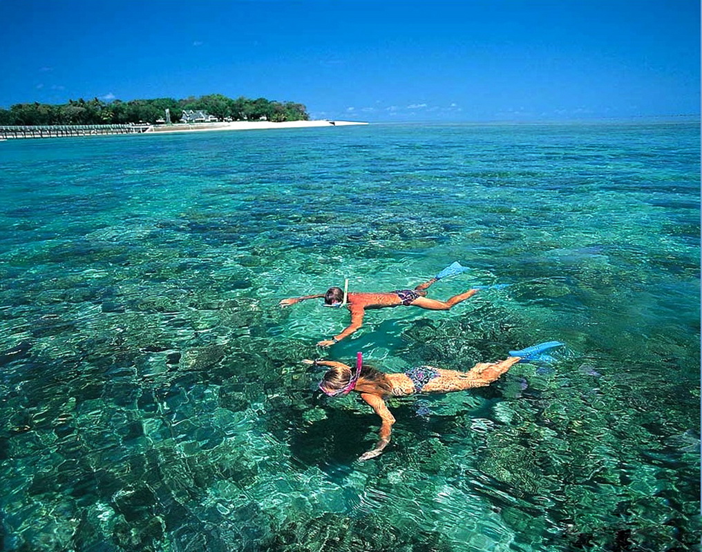 TOUR LẶN NGẮM SAN HÔ BÁN ĐẢO SƠN TRÀ